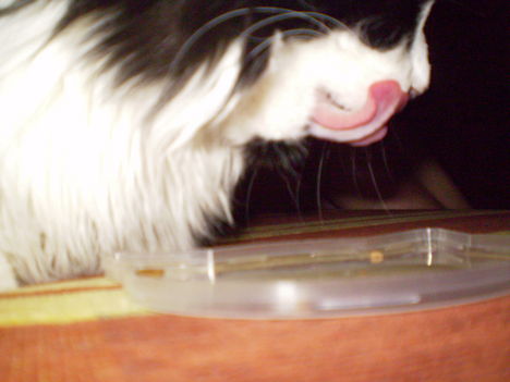 boni