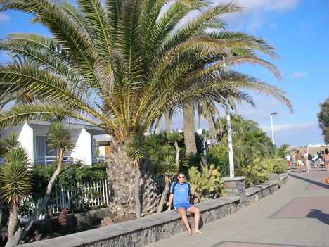 Palm Beach