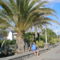 Palm Beach