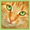 Green_by_AnatemaDevice