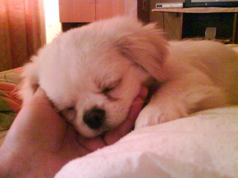 Zacsika :) ♥