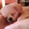 Zacsika :) ♥