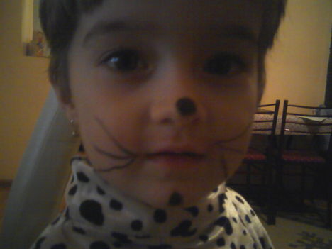 dalmata kutyusunk