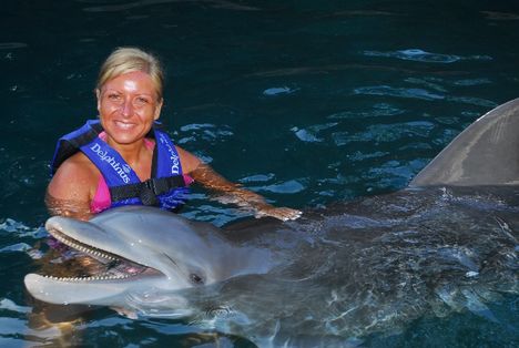 Dolphine swimming 2