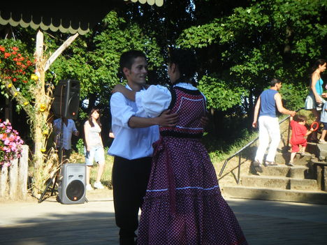 DSCF0877