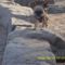 EILAT 039