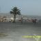 EILAT 132