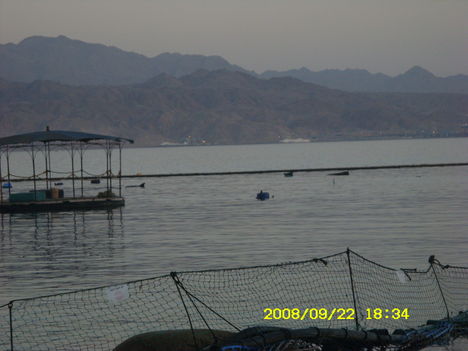 EILAT 184
