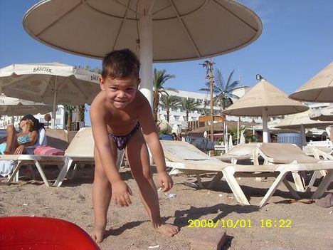 EILAT 297