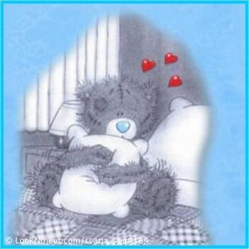 teddy4