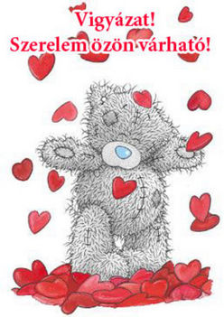 teddy (2)