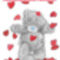 teddy (2)