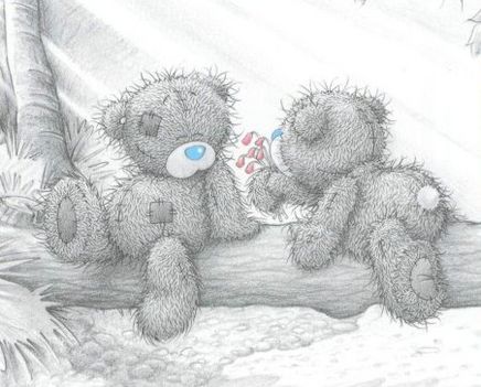 teddy-seekcodes(153)