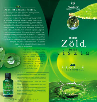 Chlorophyll1_flyer