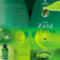 Chlorophyll1_flyer