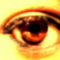 les yeux