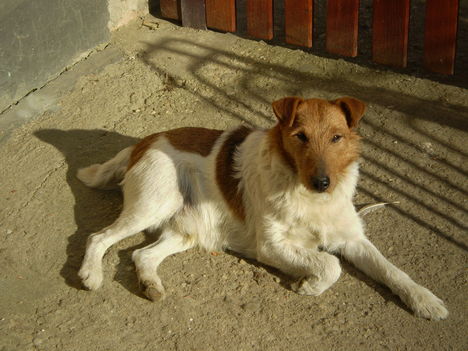 miki 2