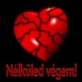 Nélküled végem