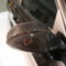 arqray_bmw_e90_320i_7