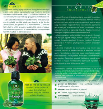 Chlorophyll2_flyer
