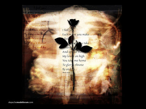 Dm-Rose