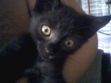 Lucifer