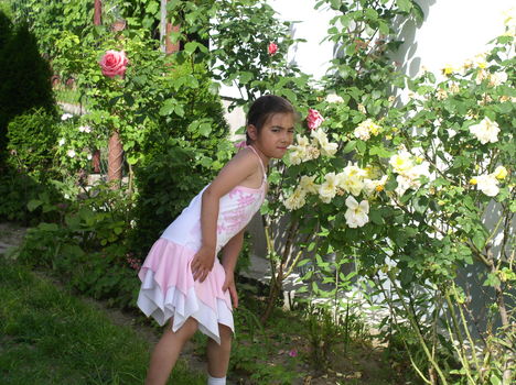 Viki