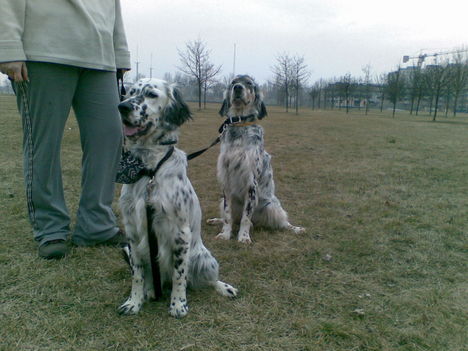 20090304(005)