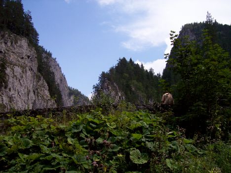 ERDÉLY 326