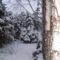 hó a kertben