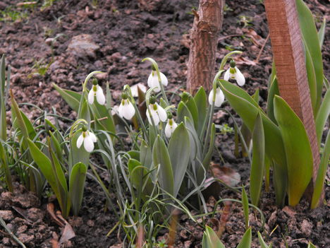képek20090311 007