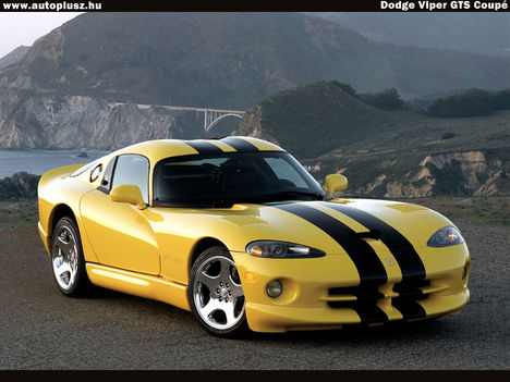 ViperGTS
