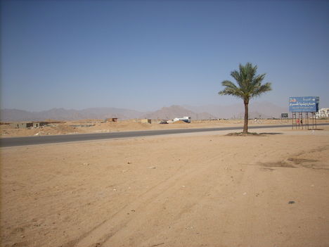 1638830392_2008-02-29-2008-03-14- Sharm El Sheikh 618