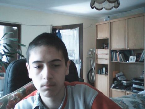 Picture 31