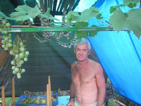 Papusom