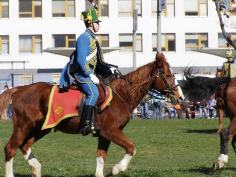 2008 Márc 15. huszárok 114