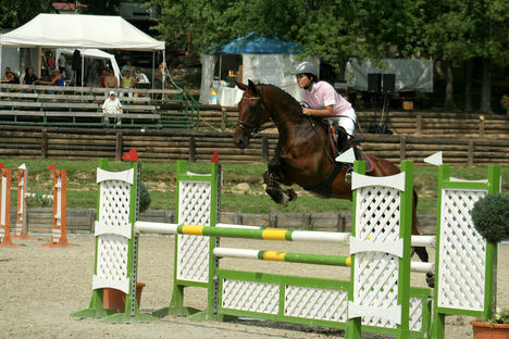 2008.Kaposvár Koroszt. Champ. 