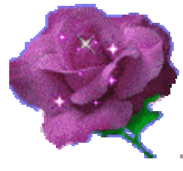 rózsák 19 0000027434