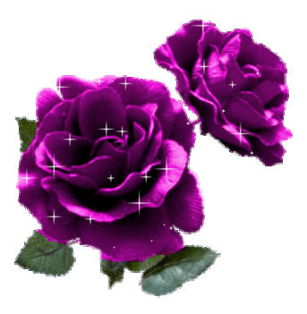 rózsák 22 0000040697
