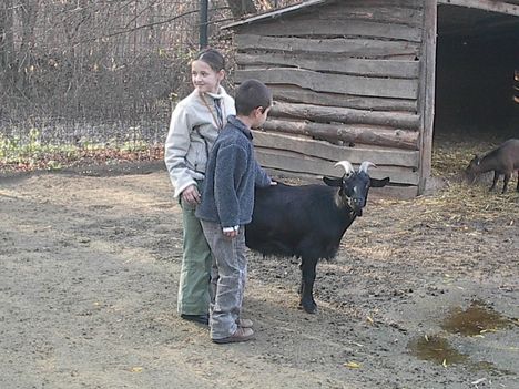 2006 jászberényi állatkert és családunk 006
