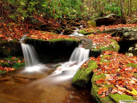 Tájképek 1 Erdei_patak-Nantahala_National_Forest-North_Carolina-USA