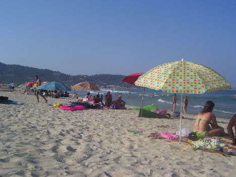 Sarti 2008.