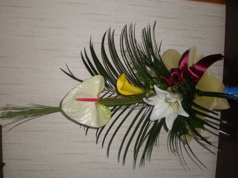 2008 SZILVESZTER 004