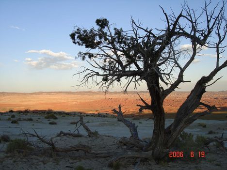 Arizona