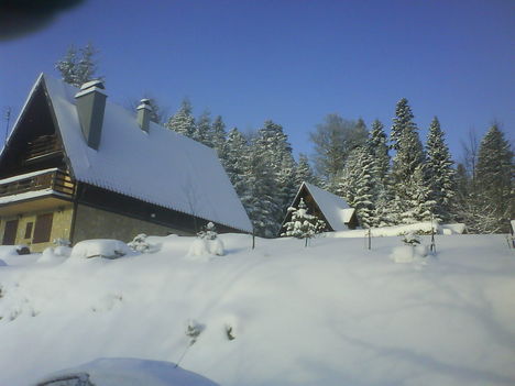 DSC00014