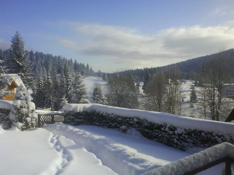 DSC00017