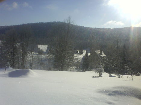 DSC00022