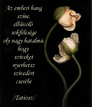 idézetek 17