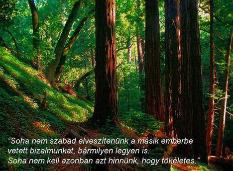 idézetek 43