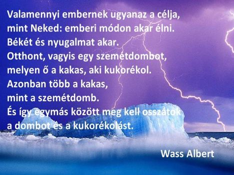 idézetek 46
